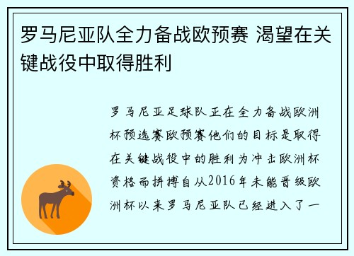 罗马尼亚队全力备战欧预赛 渴望在关键战役中取得胜利